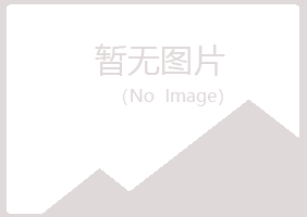 雷州夏岚采矿有限公司